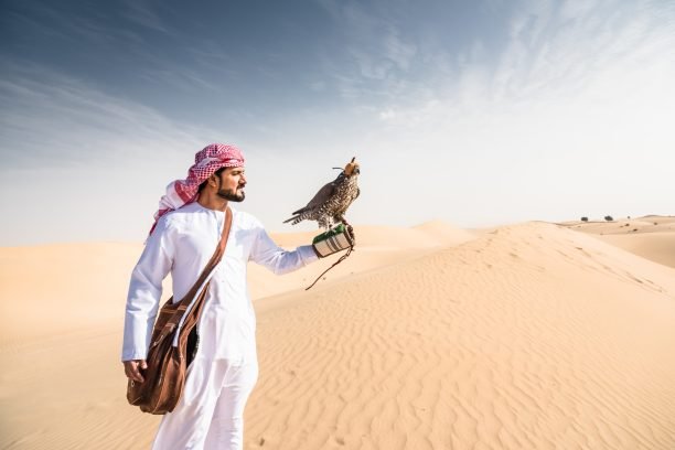 arabic sheik on the desert holding a falcon